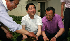 省科技廳領(lǐng)導及新華社來我司參觀全程馬鈴薯機